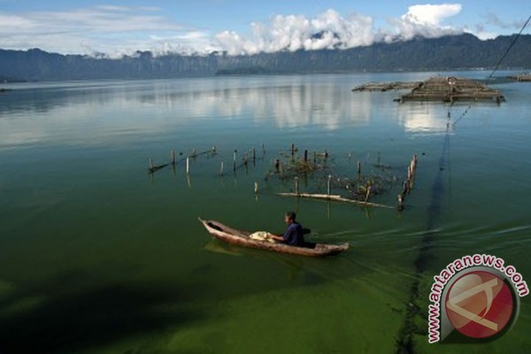 Foto Sempat Hilang, Rinuak Muncul Lagi di Danau Maninjau
