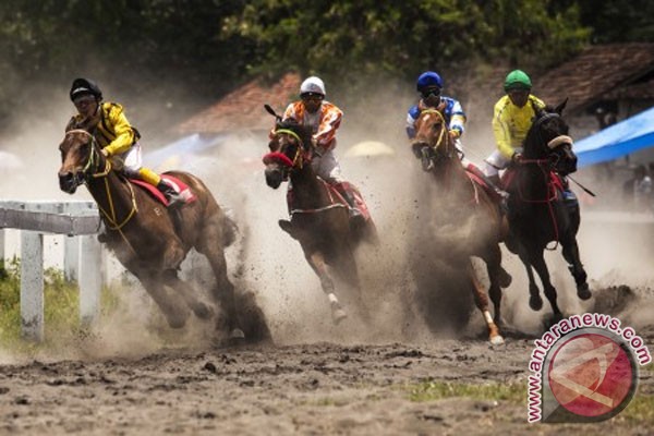 Foto Sengit, Kuda Putri Binari Juarai Sawahlunto Derby 2015 di Kandi
