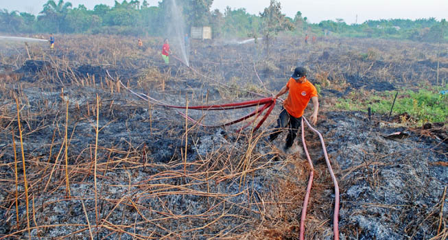 Foto Kebakaran Lima Haktare Lahan di Riau Belum Berhasil Dipadamkan