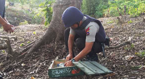 Foto 4 Granat Aktif Ditemukan di Taman Hutan Raya Bung Hatta