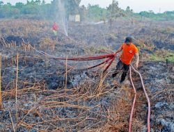 Foto Lahan Seluas 27 Hektar Terbakar di Rokan Hilir