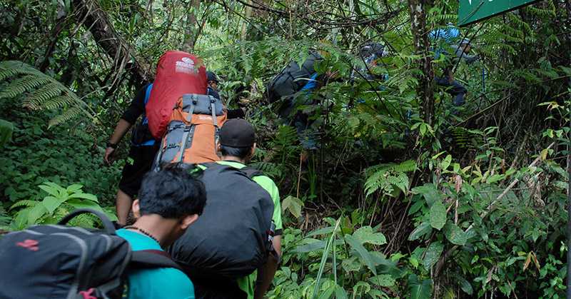 Foto Enam Pencari Orang Hilang, Malah Nyasar di Hutan Pariaman