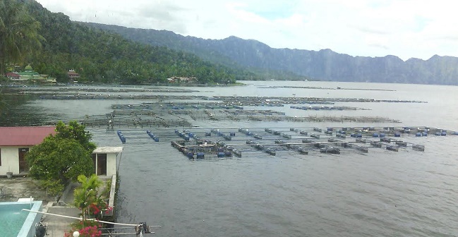 Foto Tebal Sedimen Capai 100 Meter, Danau Maninjau Harus Dikeruk