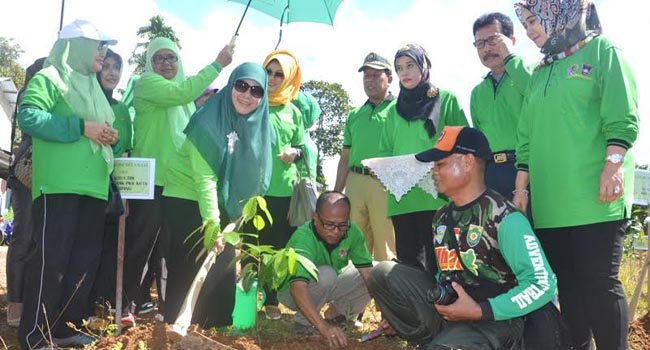 Foto Di Padang, Sejumlah Organisasi Wanita Menanam Pohon