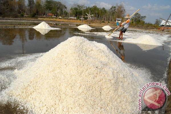 Foto Kebutuhan Garam di Padang 3.000 Ton Setahun