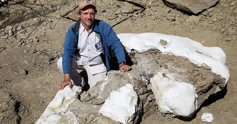 Foto Arkeolog Temukan Fosil Tiranosaurus yang Masih Utuh, Ini Bentuknya!