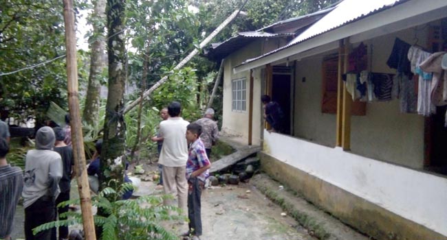 Foto Di Agam, Rumah Warga Rusak Tertimpa Pohon Tumbang