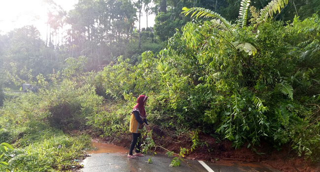 Foto Enam Kecamatan di Agam Dilanda Longsor dan Pohon Tumbang