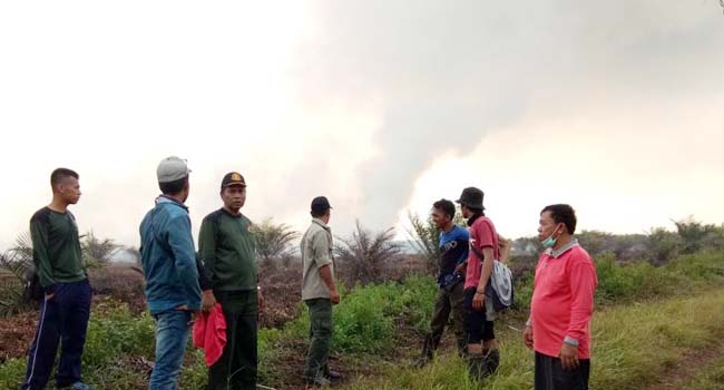 Foto 300 Hektare Hutan di Tapan Terbakar