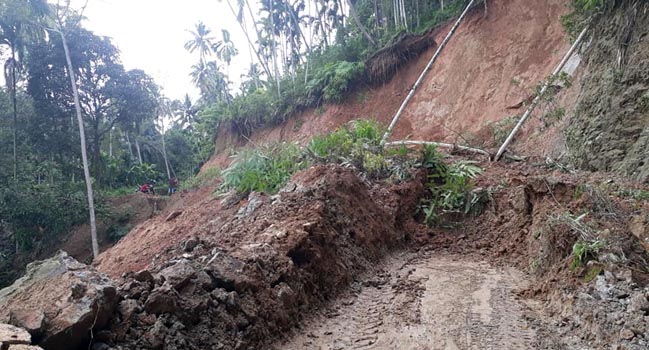 Foto Irigasi Lubuak Cimantuang Jebol, 120 Hektare Sawah Terancam Kekeringan