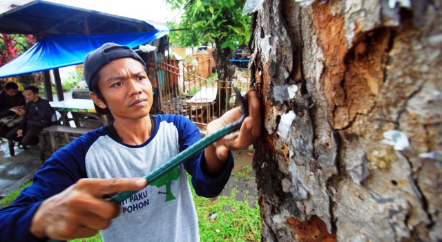 Foto Nasib Pohon Pelindung, Aktivis Lingkungan Temukan 6 Kg Paku