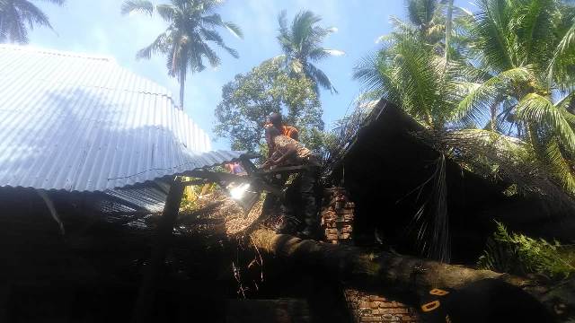 Foto Akibat Badai, Rumah Warga Rusak Ditimpa Pohon