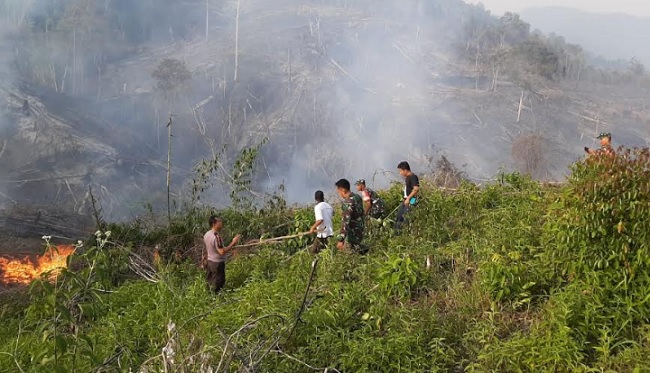 Foto Lahan Perkebunan di Agam Diduga Sengaja Dibakar