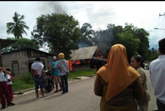 Foto Sijago Merah Mengamuk di Solok, Rumah Semi Permanen Hangus