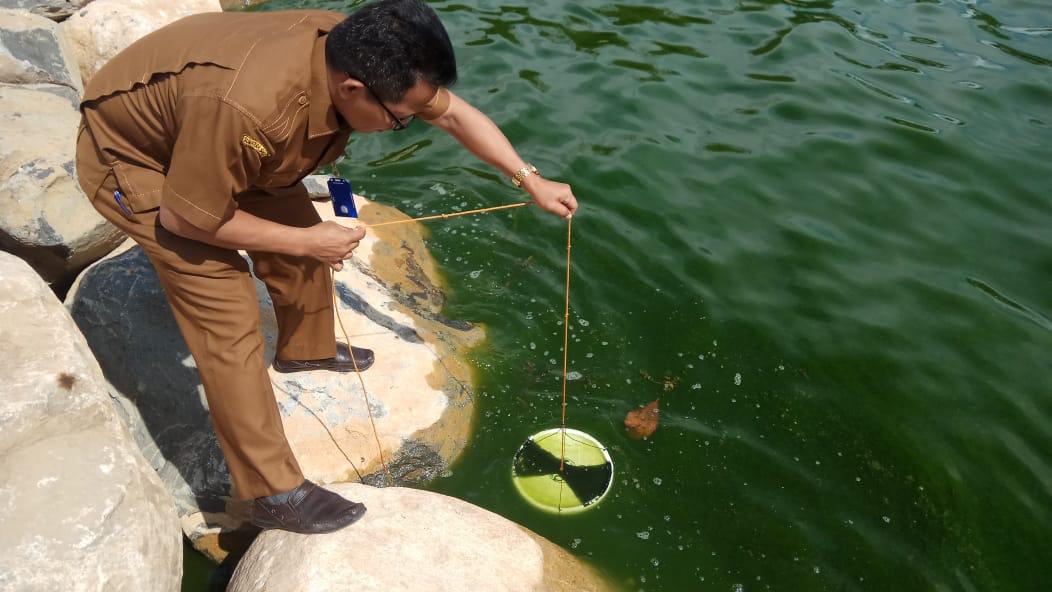 Foto Heboh Air Laut di Padang Berubah Jadi Hijau, Ternyata Ini Penyebabnya