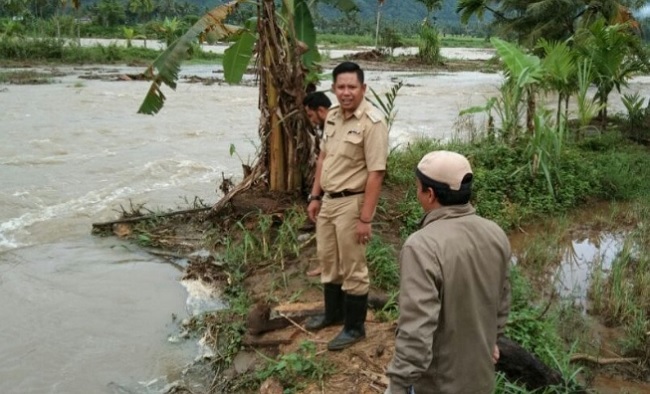 Foto Tanggul Sungai Batang Bangko Jebol, Puluhan Ha Lahan Pertanian dan Kolam Dihondoh Banjir