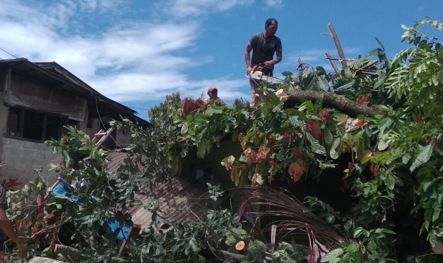 Foto Dua Hari Badai, Puluhan Pohon Tumbang di Kota Padang