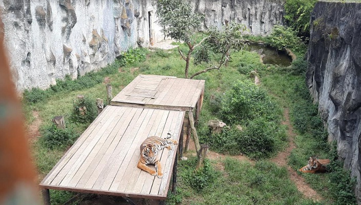Foto Seluruh Objek Wisata di Bukittinggi Tutup Hingga Awal Agustus
