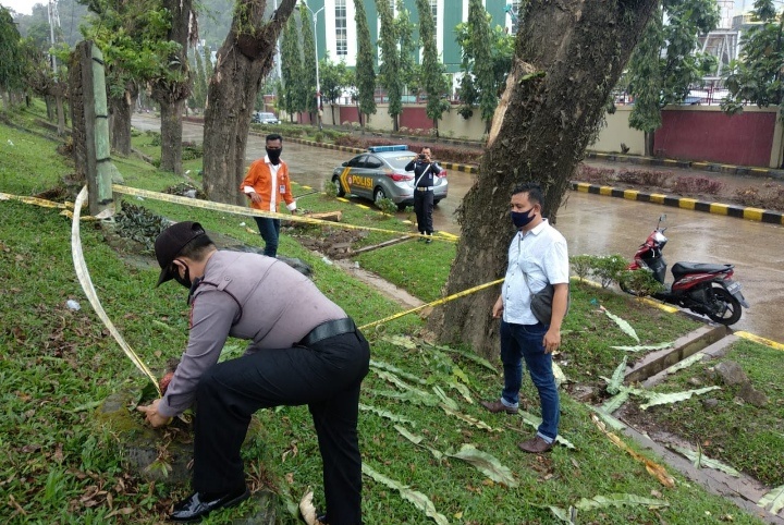 Foto Bersihkan Pohon Pelindung, Pekerja Harian Tewas Disengat Listrik