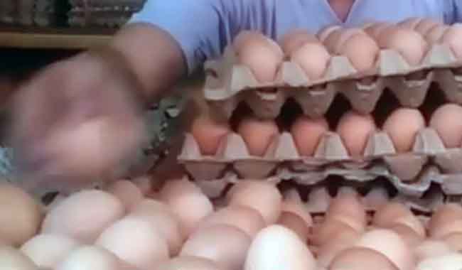 Foto Ada Telur Ayam Murah di Pasar Murah