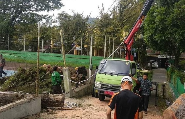 Foto Angin Kencang Sebabkan Sejumlah Pohon Tumbang di Padang Panjang