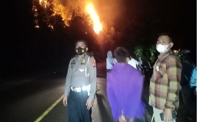 Foto Lahan Gambir di Batang Kapas Terbakar, Warga dan Pengendara Diminta Berhati-hati