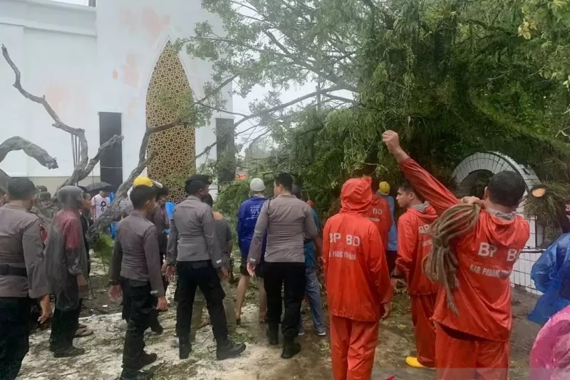 Foto Ini Lokasi Banjir, Longsor Hingga Pohon Tumbang di Padang Pariaman