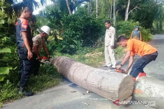 Foto Pohon Tumbang Tutupi Badan Jalan di Garagahan