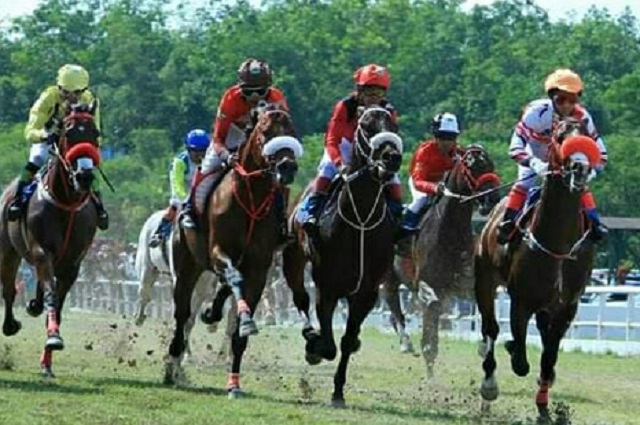 Foto Sawahlunto Derby 2021, Lima Kuda Asal Sumut Siap Berpacu