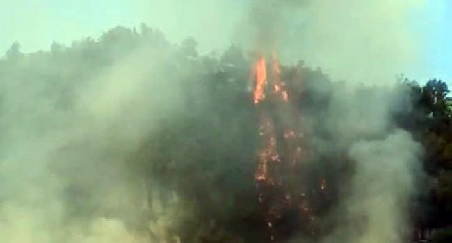 Foto Hutan di Kawasan Lembah Harau Terbakar