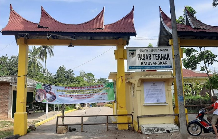 Foto Pasar Ternak Batusangkar Diprediksi Bakal Ramai Kembali