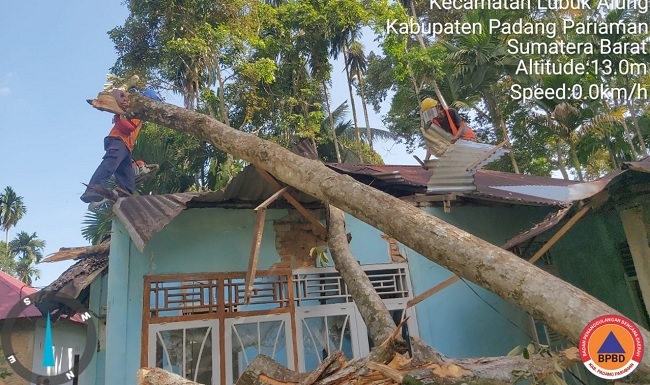 Foto Tiga Rumah di Padang Pariaman Rusak Tertimpa Pohon