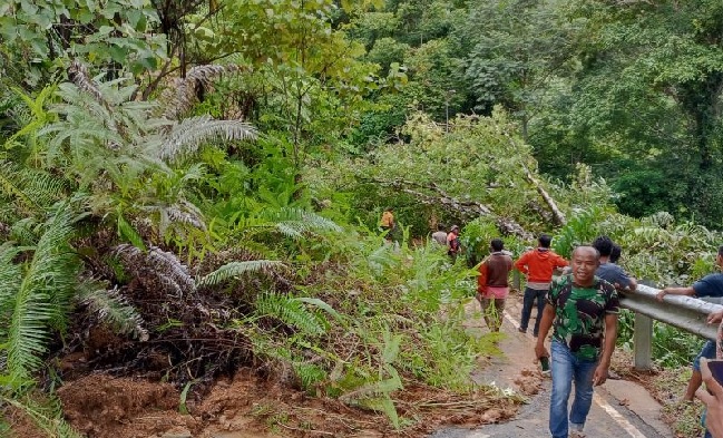 Foto Pohon Tumbang dan Longsor Terjadi di Sejumlah Titik di Kota Padang