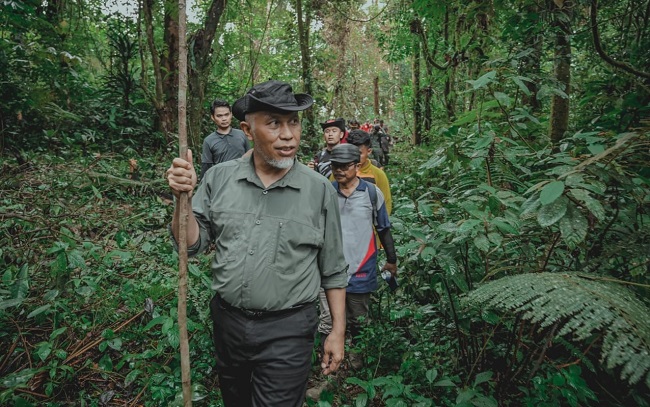 Foto Tinjau Jalan Alternatif Malalak - Maninjau, Gubernur Tembus Hutan Sepanjang 11 KM