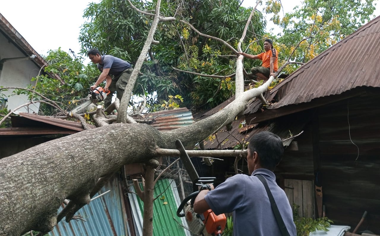 Foto Hujan Badai, Tiga Rumah di Kota Padang Ditimpa Pohon Tumbang