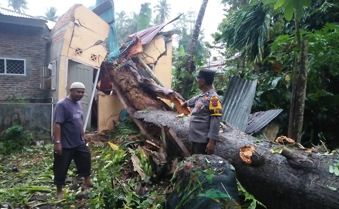 Foto Rumah Warga Padang Pariaman Rusak Ditimpa Pohon