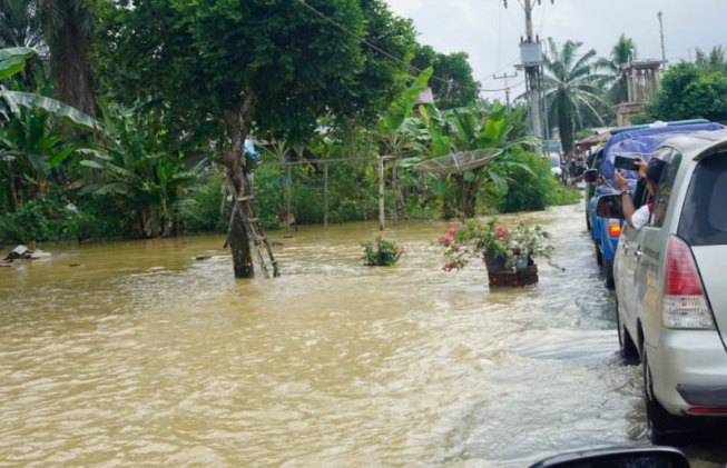 Foto 430 Ha Lahan Pertanian di Pasaman Barat Terdampak Banjir