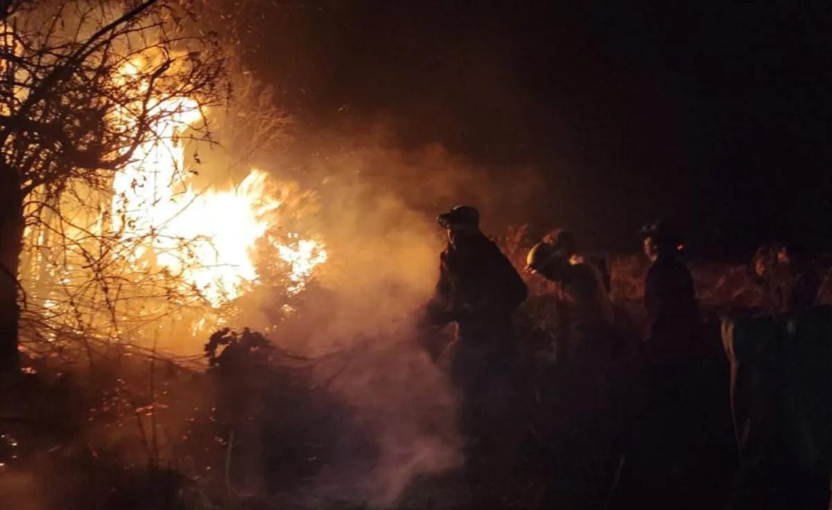 Foto Puluhan Petugas Padamkan Kebakaran Hutan Papandayan di Garut