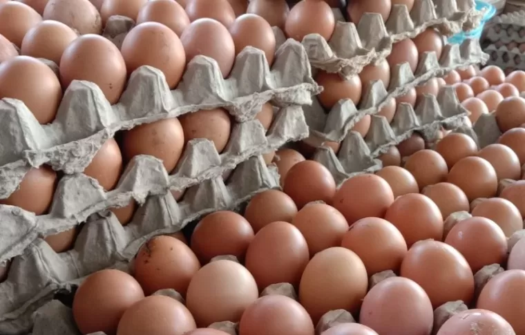 Telur ayam