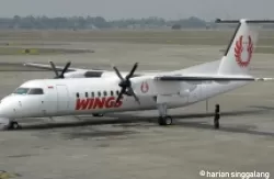 Wings Air