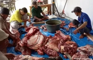 Prosesi pemotongan hewan kurban di Yayasan Berkah Amal Salih. (ist)